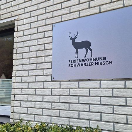 Ferienwohnung Schwarzer Hirsch Wieda Exterior photo